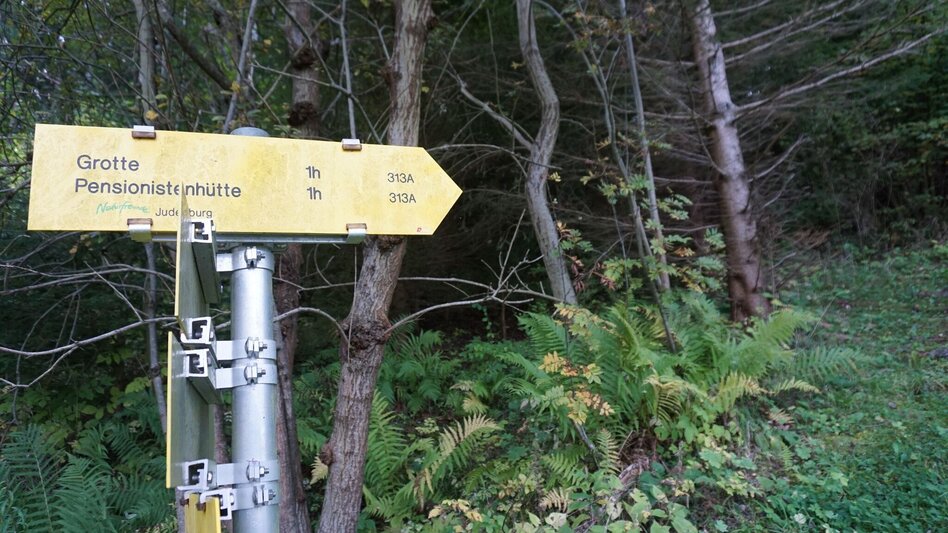Wanderung Wanderung zum Hölzlkogel - Touren-Impression #2.2 | © Erlebnisregion Murtal