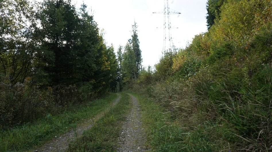 Wanderung Wanderung zum Hölzlkogel - Touren-Impression #2.3 | © Erlebnisregion Murtal
