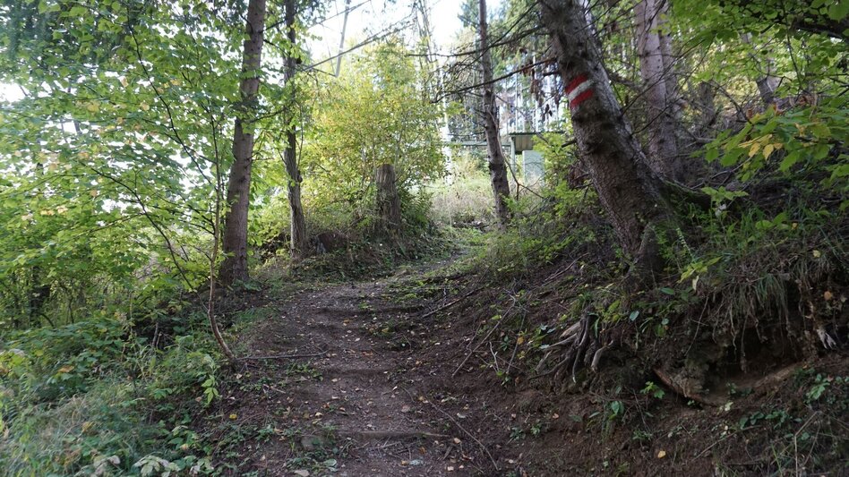 Wanderung Wanderung zum Hölzlkogel - Touren-Impression #2.4 | © Erlebnisregion Murtal