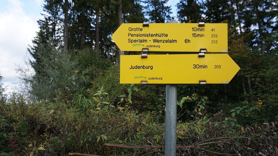Wanderung Wanderung zum Hölzlkogel - Touren-Impression #2.5 | © Erlebnisregion Murtal
