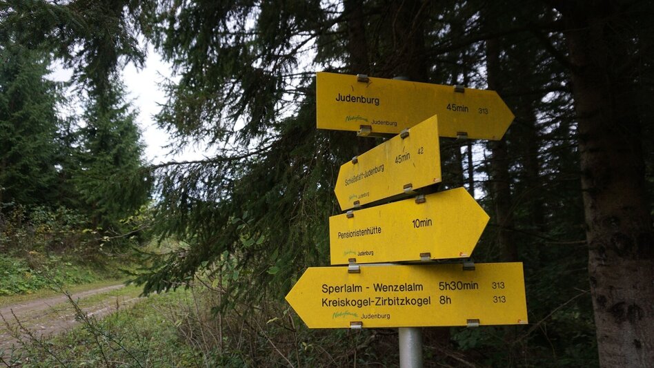 Wanderung Wanderung zum Hölzlkogel - Touren-Impression #2.7 | © Erlebnisregion Murtal