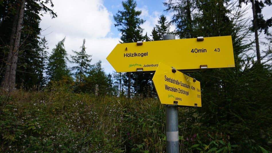 Wanderung Wanderung zum Hölzlkogel - Touren-Impression #2.8 | © Erlebnisregion Murtal
