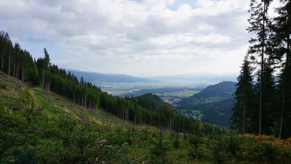 Wanderung Wanderung zum Hölzlkogel - Touren-Impression #2.9 | © Erlebnisregion Murtal