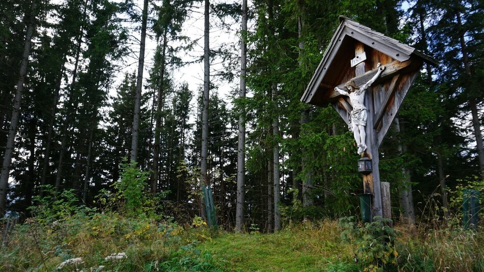 Wanderung Wanderung zum Hölzlkogel - Touren-Impression #2.10 | © Erlebnisregion Murtal
