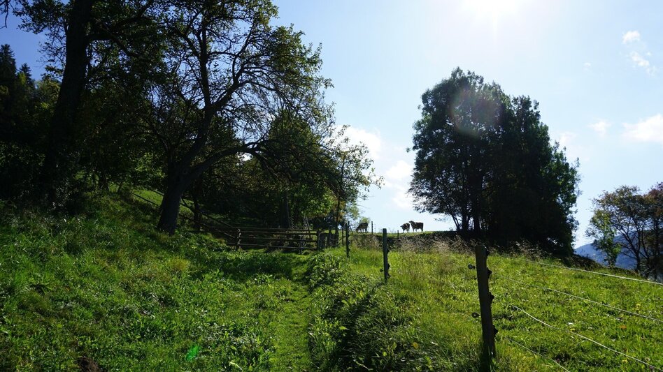 Hiking route Hike around the Liechtensteinberg - Touren-Impression #2.2 | © Erlebnisregion Murtal