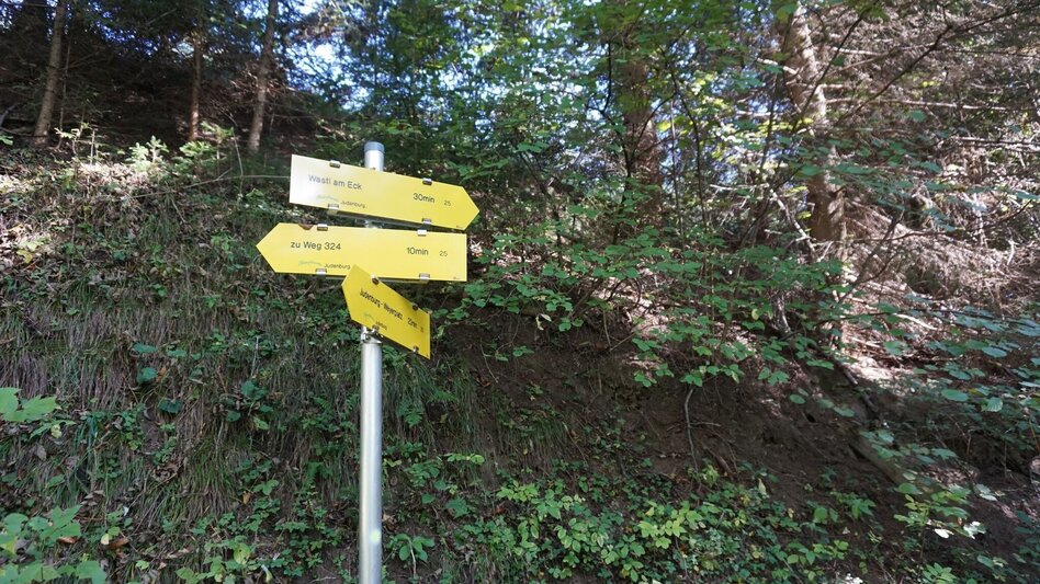Hiking route Hike around the Liechtensteinberg - Touren-Impression #2.3 | © Erlebnisregion Murtal