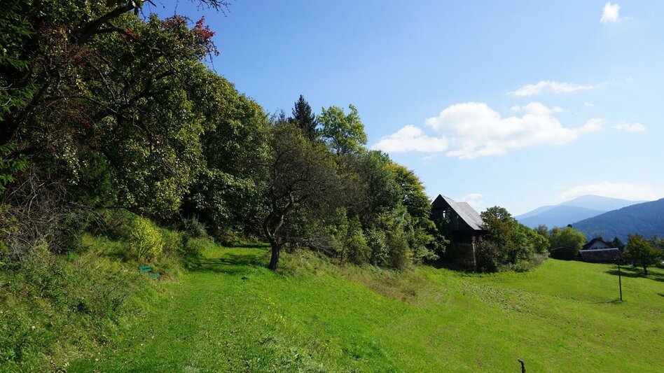Hiking route Hike around the Liechtensteinberg - Touren-Impression #2.4 | © Erlebnisregion Murtal