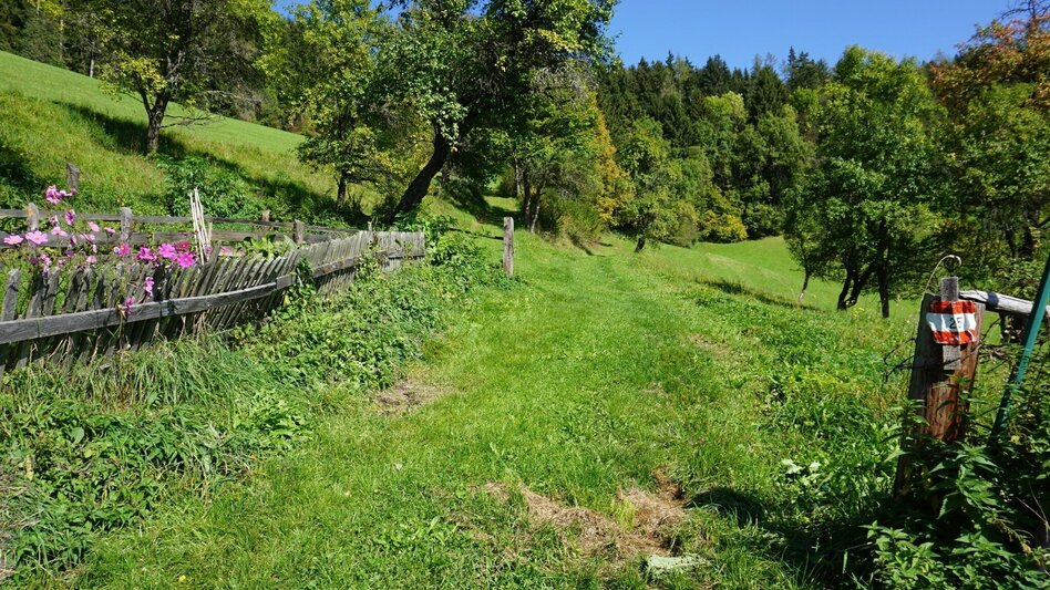 Hiking route Hike around the Liechtensteinberg - Touren-Impression #2.5 | © Erlebnisregion Murtal