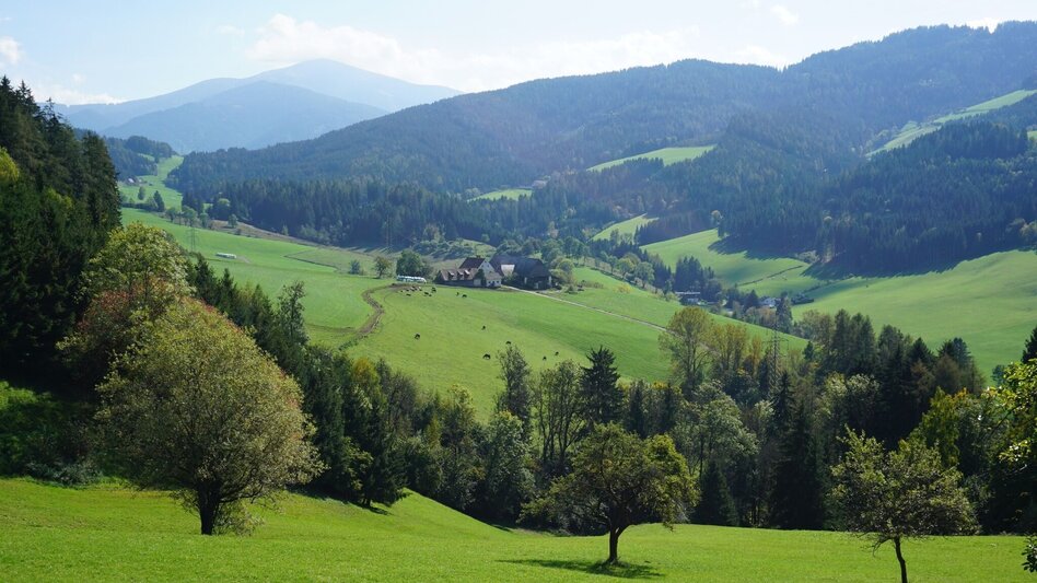 Hiking route Hike around the Liechtensteinberg - Touren-Impression #2.6 | © Erlebnisregion Murtal