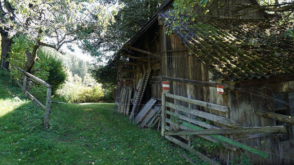 Hiking route Hike around the Liechtensteinberg - Touren-Impression #2.7 | © Erlebnisregion Murtal
