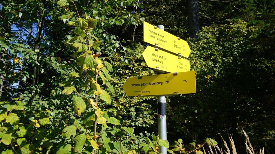 Hiking route Hike around the Liechtensteinberg - Touren-Impression #2.8 | © Erlebnisregion Murtal