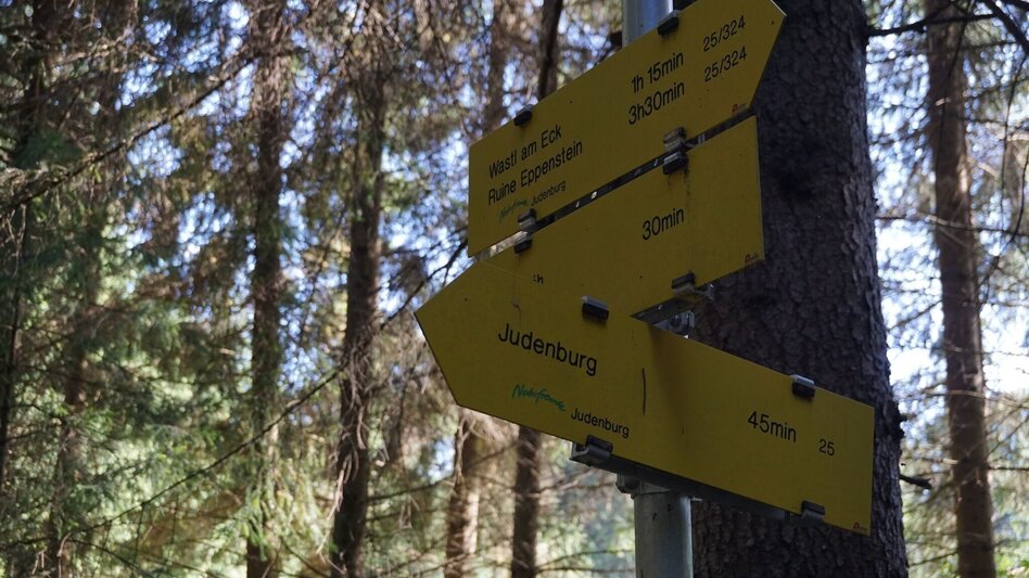 Hiking route Hike around the Liechtensteinberg - Touren-Impression #2.9 | © Erlebnisregion Murtal