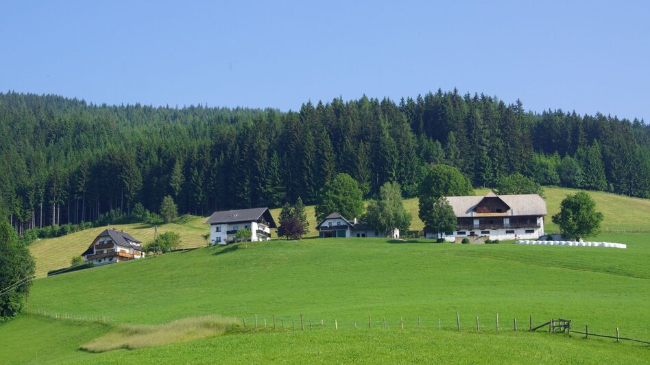 Wanderung Von Fischbach nach St. Kathrein am Hauenstein, Fischbach - Touren-Impression #2.6 | © Familie Breitegger