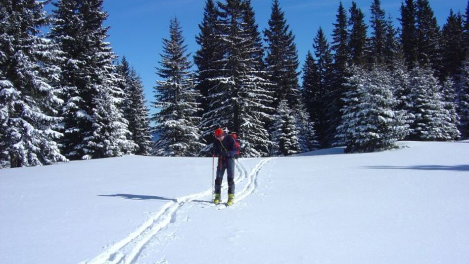 Skitour Skitour auf die Heukuppe - Touren-Impression #2.1 | © Fiona Ulm