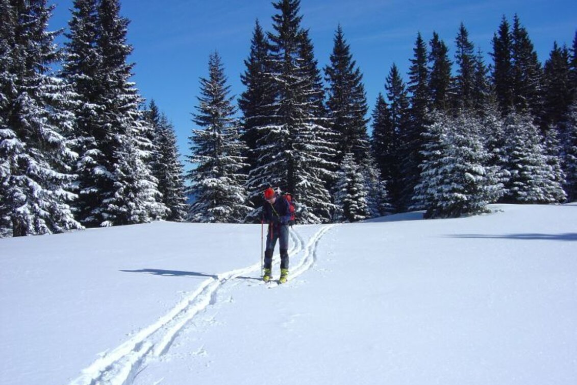 Skitour Skitour auf die Heukuppe - Touren-Impression #1 | © Fiona Ulm