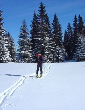 skitour auf die heukuppe_img_4273500 | Naturpark Mürzer Oberland | © Fiona Ulm