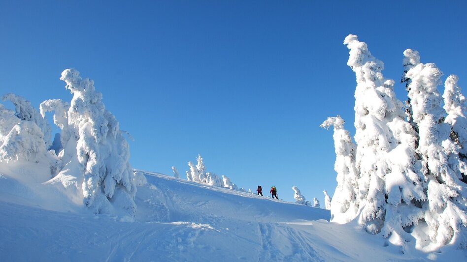 Skitour Skitour auf die Schneealm - Touren-Impression #2.1 | © Naturpark Mürzer Oberland