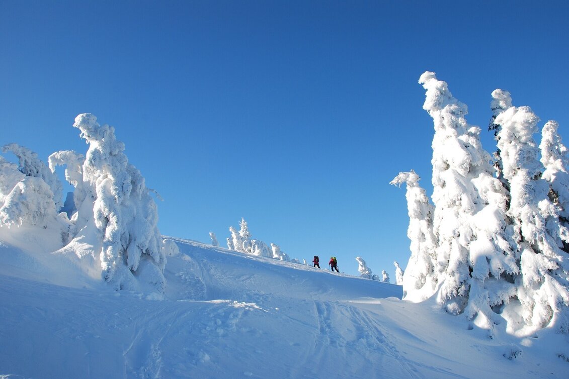 Skitour Skitour auf die Schneealm - Touren-Impression #1 | © Naturpark Mürzer Oberland