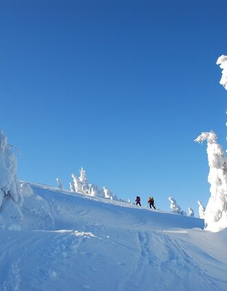 Skitour auf die Schneealm | Michael Gletthofer | © Naturpark Mürzer Oberland