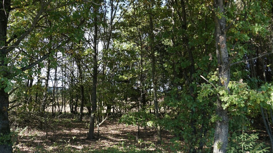 Wasserwege Murwaldrunde - Touren-Impression #2.4 | © Erlebnisregion Murtal