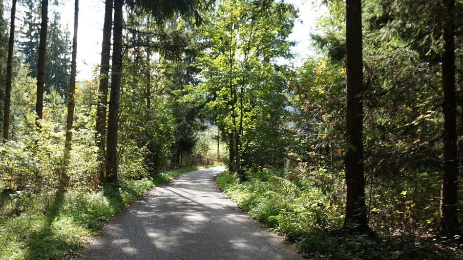 Wasserwege Murwaldrunde - Touren-Impression #2.9 | © Erlebnisregion Murtal
