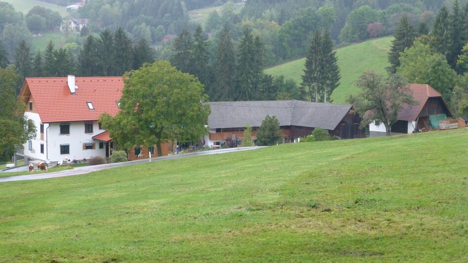 Wanderung Das Landlebn, Anger bei Weiz - Touren-Impression #2.3 | © Oststeiermark Tourismus