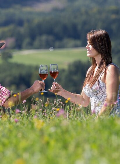 Rast am Zirknitz-Gundersdorf Rundweg | © TVB Südsteiermark/Harry Schiffer | Harry Schiffer | © TVB Südsteiermark/Harry Schiffer