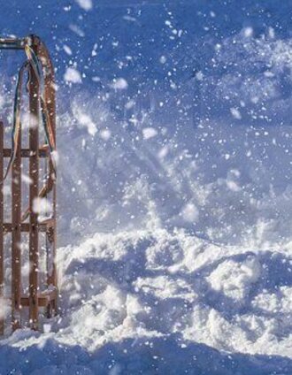 rodelbahn am michaelerberg_img_43461506 | Schladming Dachstein - TVB Gröbminger Land | © Erlebnisregion Schladming-Dachstein