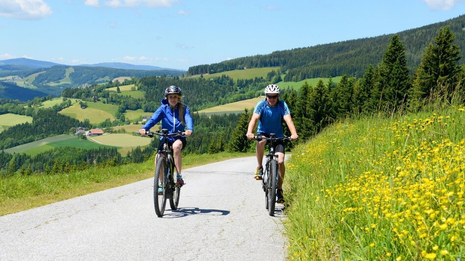 Bike Riding The Grand Jogl: Variant 2: via Wildwiesen, Vorau - Touren-Impression #2.1 | © Oststeiermark Tourismus