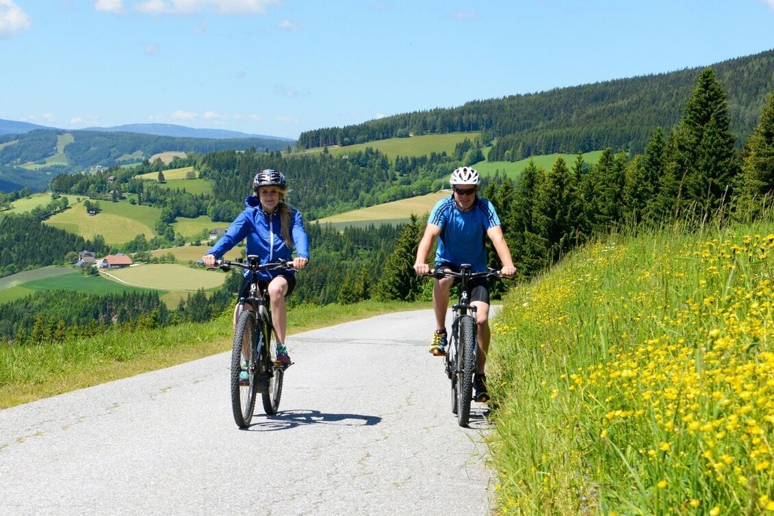 Bike Riding The Grand Jogl: Variant 2: via Wildwiesen, Vorau - Touren-Impression #1 | © Oststeiermark Tourismus