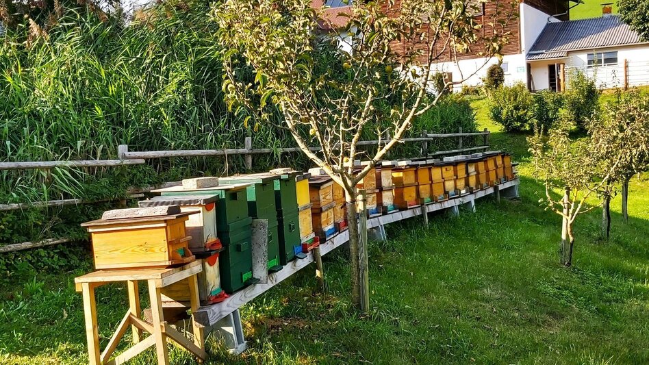 Hiking route Sulberg-Round from the Nechnitz - Touren-Impression #2.12 | © Oststeiermark Tourismus