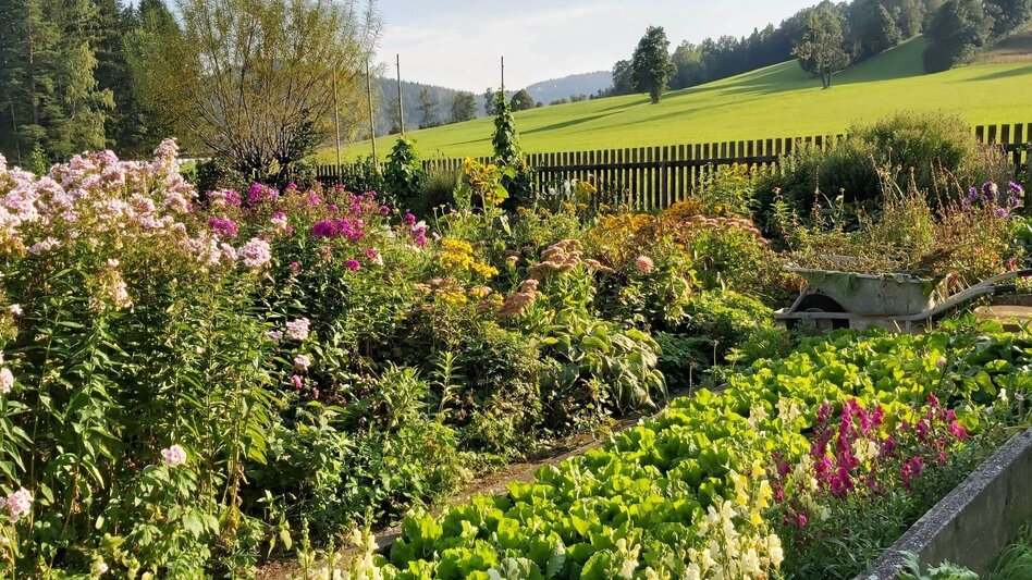 Hiking route Sulberg-Round from the Nechnitz - Touren-Impression #2.16 | © Oststeiermark Tourismus