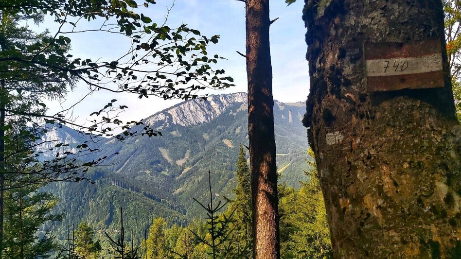 Hiking route Sulberg-Round from the Nechnitz - Touren-Impression #2.4 | © Oststeiermark Tourismus