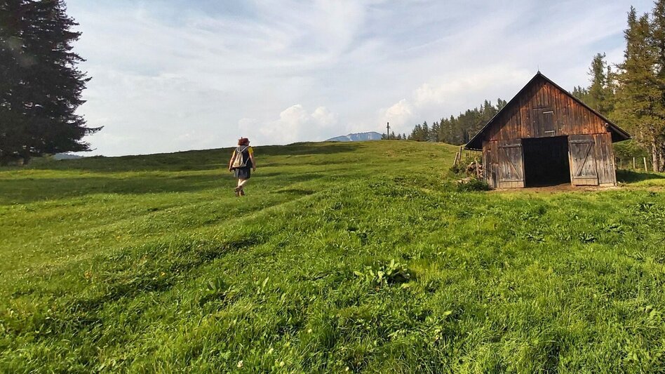 Hiking route Sulberg-Round from the Nechnitz - Touren-Impression #2.9 | © Oststeiermark Tourismus