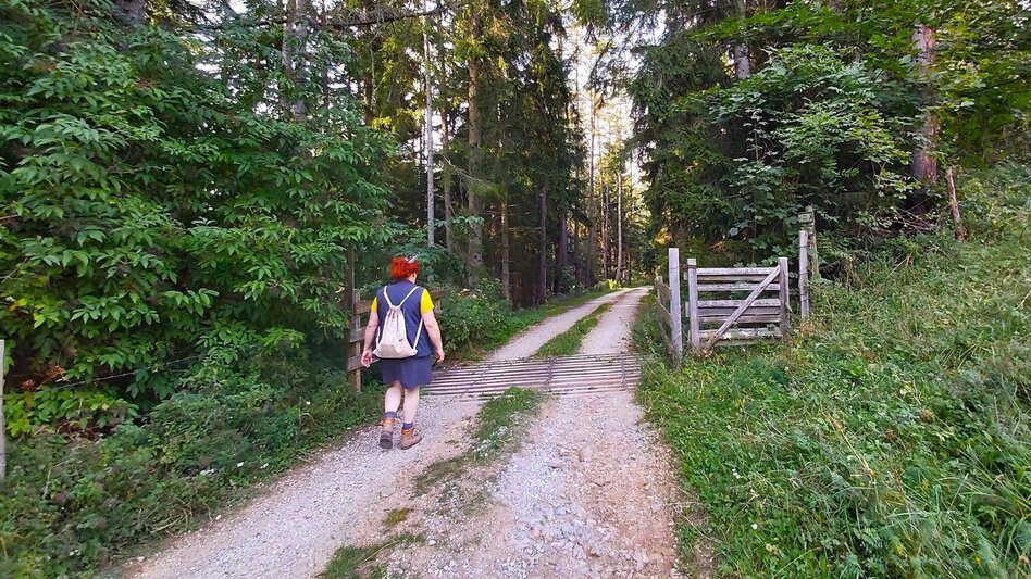 Hiking route Sulberg-Round from the Nechnitz - Touren-Impression #2.10 | © Oststeiermark Tourismus