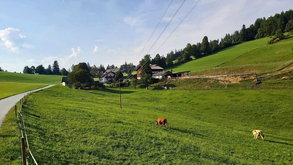 Hiking route Sulberg-Round from the Nechnitz - Touren-Impression #2.11 | © Oststeiermark Tourismus