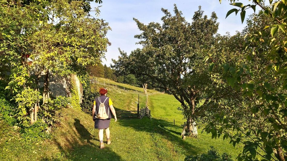 Hiking route Sulberg-Round from the Nechnitz - Touren-Impression #2.14 | © Oststeiermark Tourismus