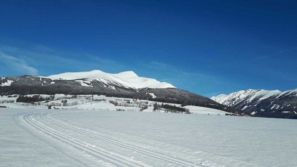 Ski nordic skating Sun trail on the Pöllauer Höhe - Touren-Impression #2.1 | © Tourismusverband Murau