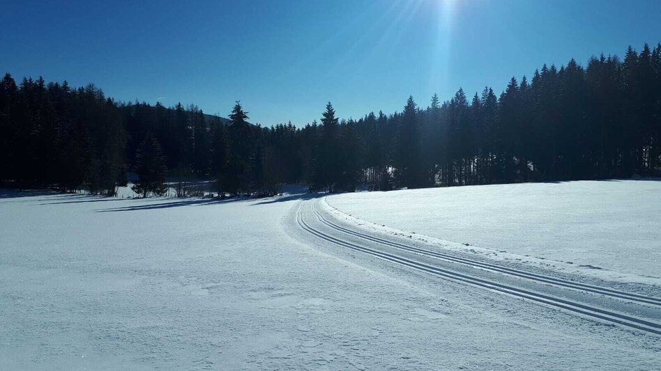 Ski nordic skating Sun trail on the Pöllauer Höhe - Touren-Impression #2.2 | © Tourismusverband Murau