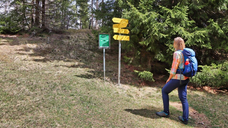 Hiking route Habring via Nußmoaralm - Touren-Impression #2.10 | © Weges OG