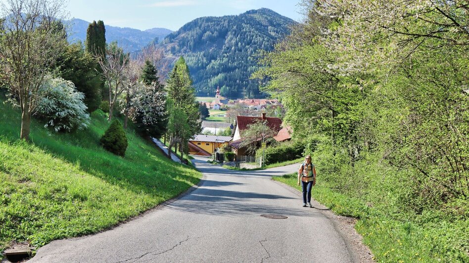 Hiking route Gerschkogel - Touren-Impression #2.1 | © Weges OG