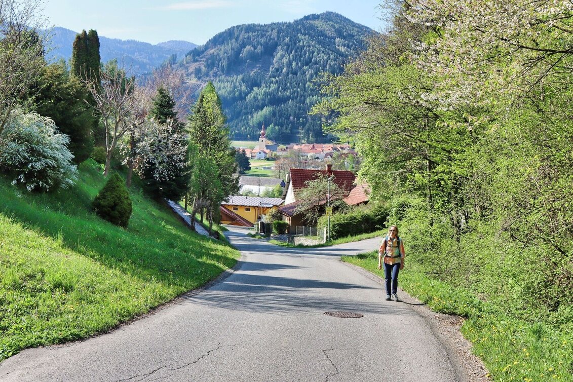Hiking route Gerschkogel - Touren-Impression #1 | © Weges OG