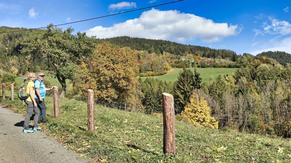 Hiking route Gerschkogel - Touren-Impression #2.4 | © Weges OG