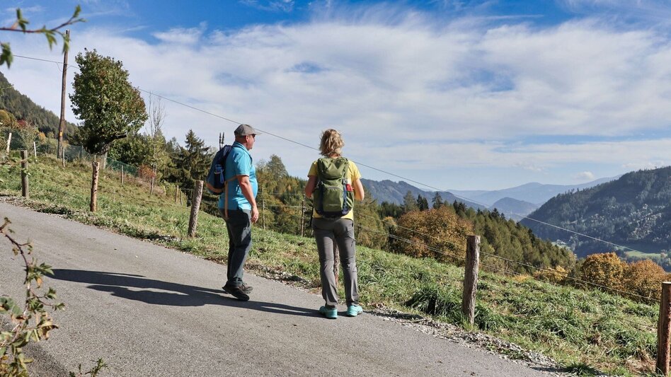 Hiking route Gerschkogel - Touren-Impression #2.6 | © Weges OG