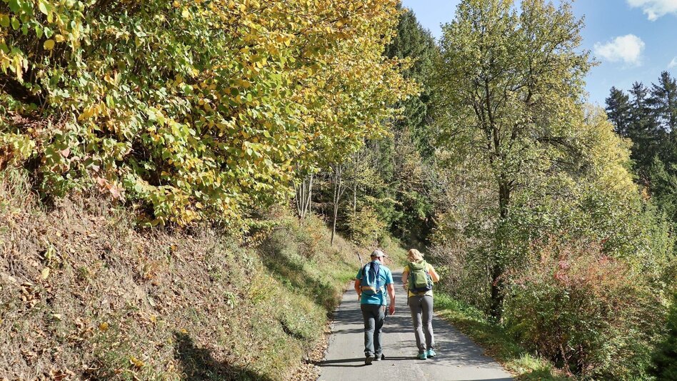 Hiking route Gerschkogel - Touren-Impression #2.8 | © Weges OG