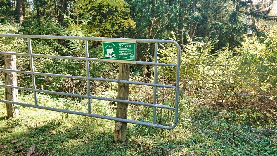 Hiking route Gerschkogel - Touren-Impression #2.9 | © Weges OG
