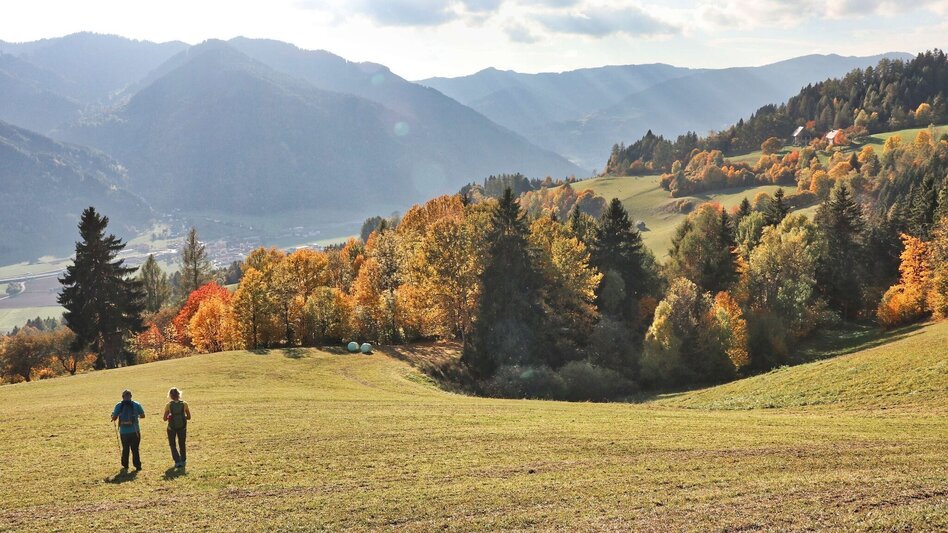 Hiking route Gerschkogel - Touren-Impression #2.10 | © Weges OG