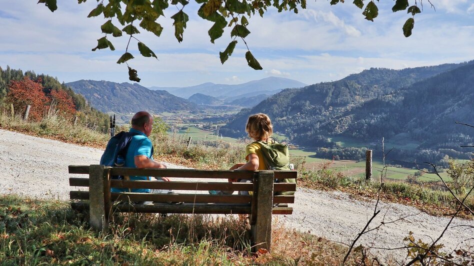 Hiking route Gerschkogel - Touren-Impression #2.11 | © Weges OG