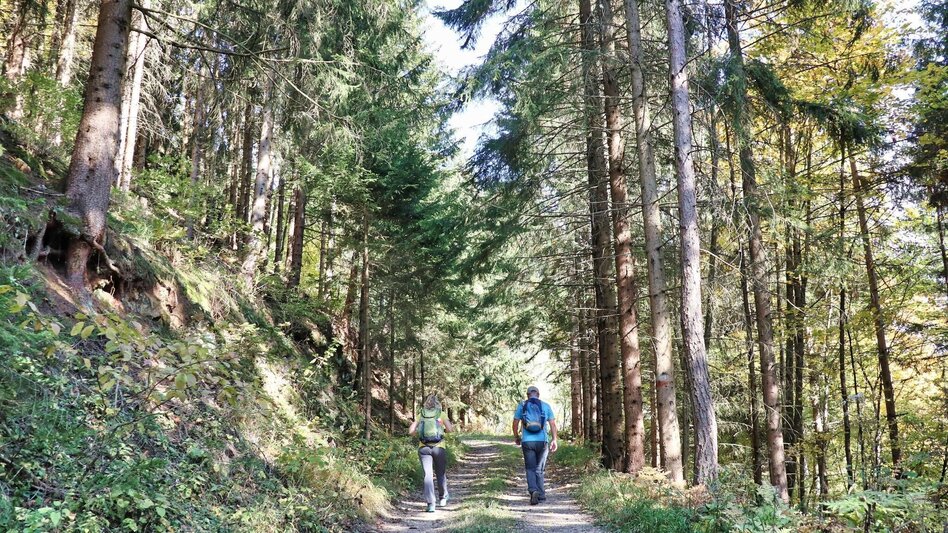Hiking route Gerschkogel - Touren-Impression #2.12 | © Weges OG