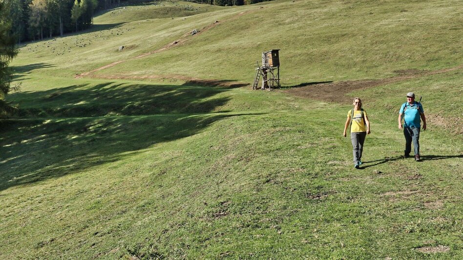 Hiking route Gerschkogel - Touren-Impression #2.13 | © Weges OG